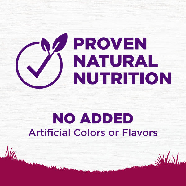Wellness Complete Health Grain Free Small Breed Deboned Turkey, Chicken Meal and Salmon Meal Recipe Dry Dog Food