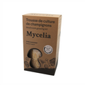 White Oyster Mushroom Grow Kit