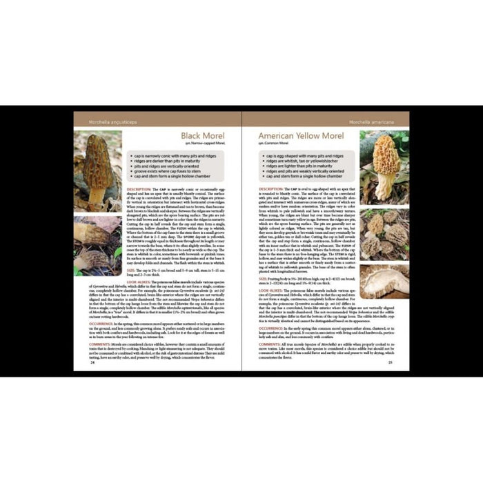 Wild Edible Mushrooms of Ontario