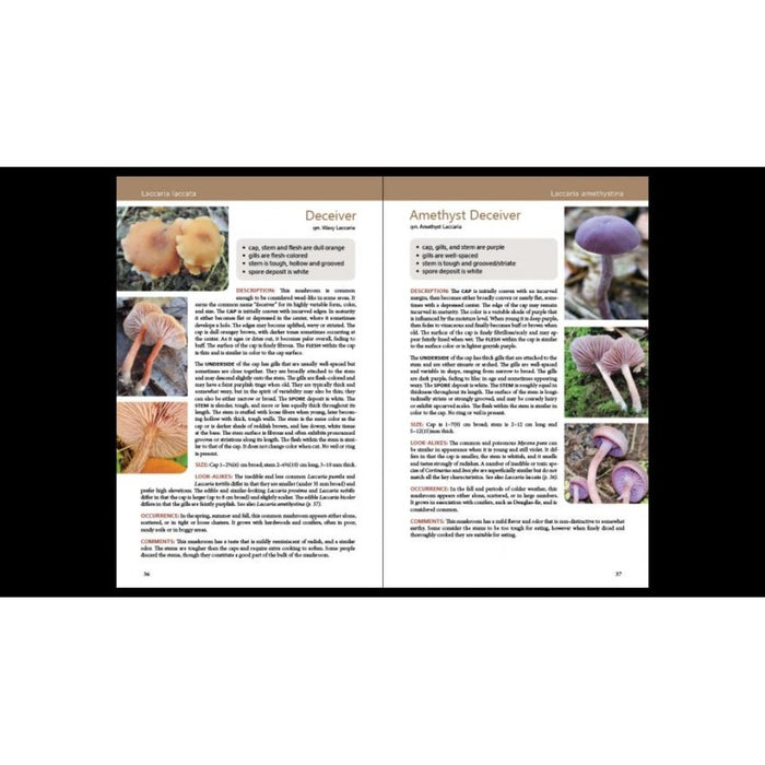 Wild Edible Mushrooms of Ontario