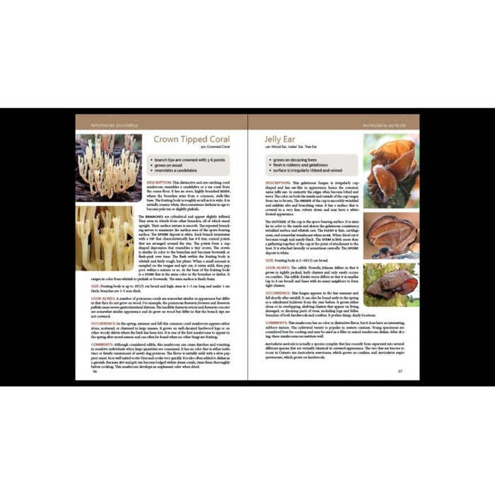 Wild Edible Mushrooms of Ontario